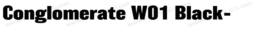 Conglomerate W01 Black字体转换